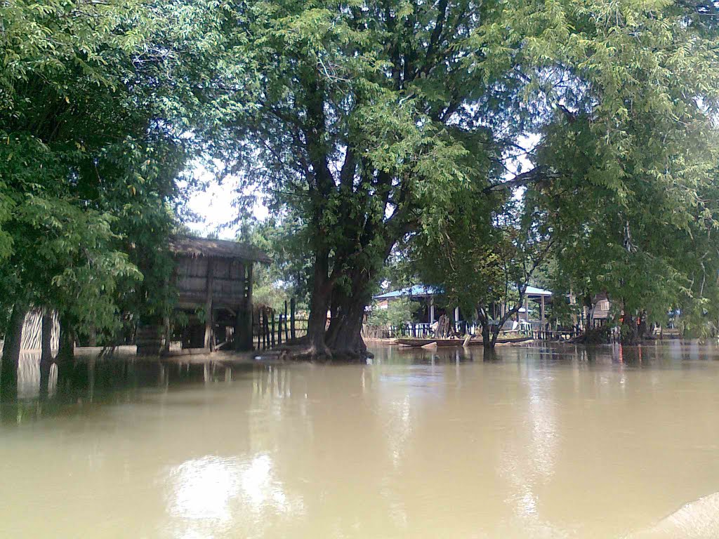 Cohabitation with flood - Sống chung với lũ by Nguyễn Công Chiểu