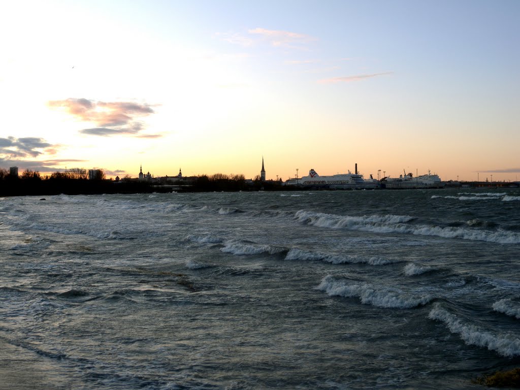 Tallinn Bay, Tallin by Giuseppe D'Ambrosio