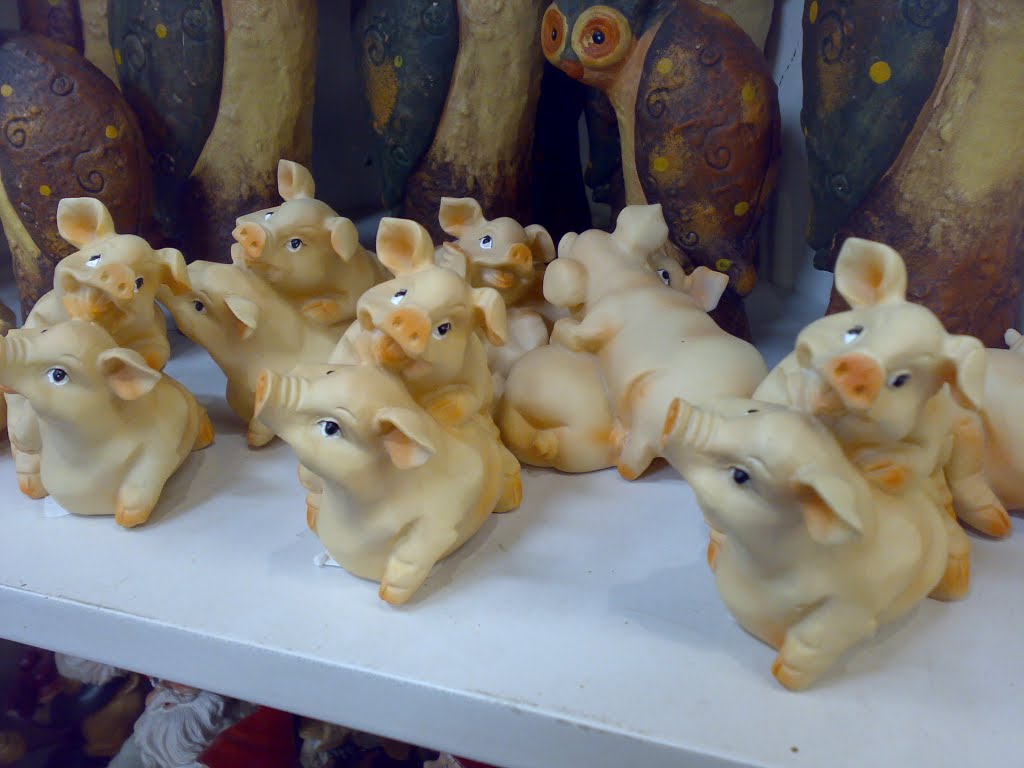 Piglets for sale - Broadacres Garden Centre by John A Forbes