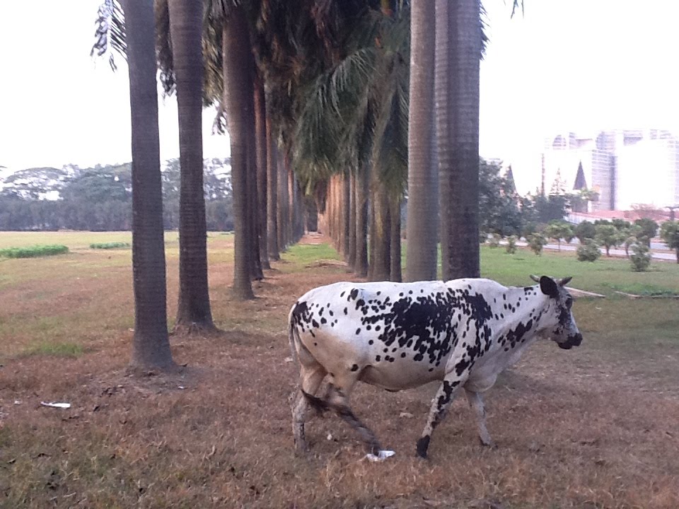 Jatiya Sangsad Bhaban, Mirpur Rd, Dhaka by Mohammed Omar Faruqu…