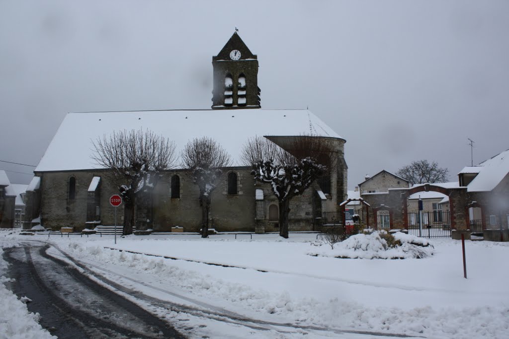 La Forêt-le-Roi sous la neige by Narciso Videira