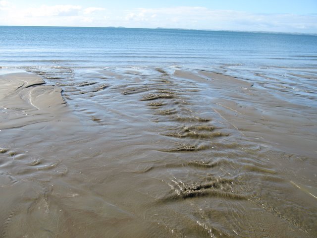 Long Bay, Auckland, New Zealand by Francois Terblans