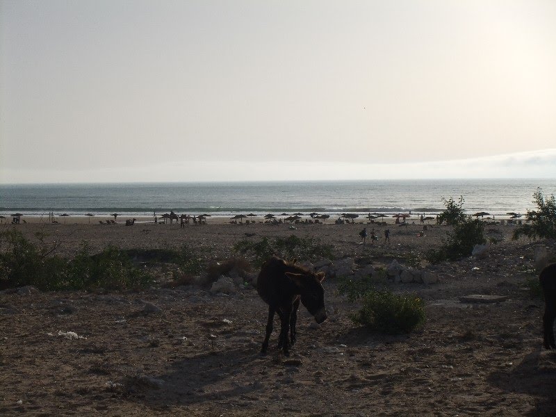 Sidi Kaouki, Morocco by Cherie_L