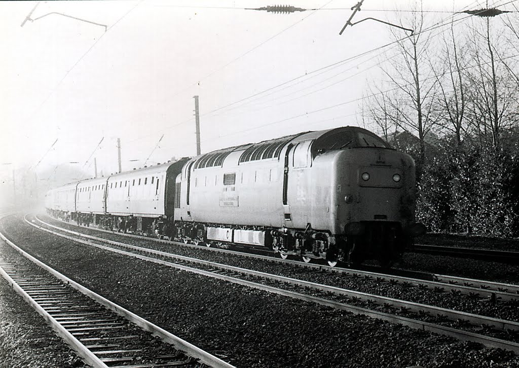 55021 on the 0940 Kings Cross to York at Hatfield 31/12/1981. This was to be 55021's final train. by MickB.