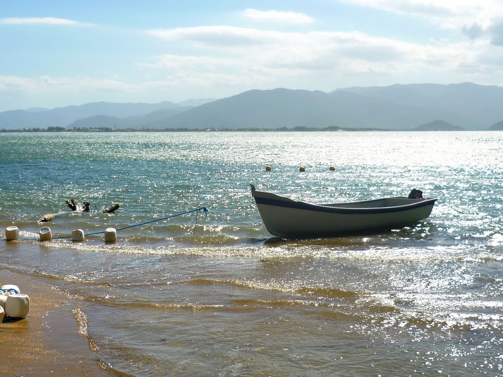 BRASIL - FLORIANÓPOLIS, SC by Marilia BOOS GOMES