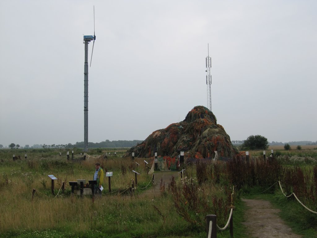 Project "Noordzee Netjes" at Zeehondencrèche Lenie 't Hart by Willem Nabuurs