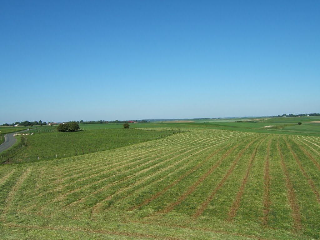 Champs de bataille de CRECY EN PONTHIEUX by joel.herbez