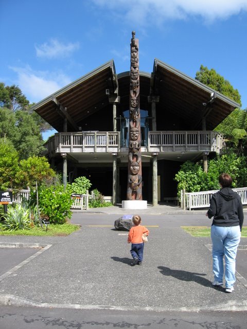 Nihotupu, Auckland 0604, New Zealand by Francois Terblans