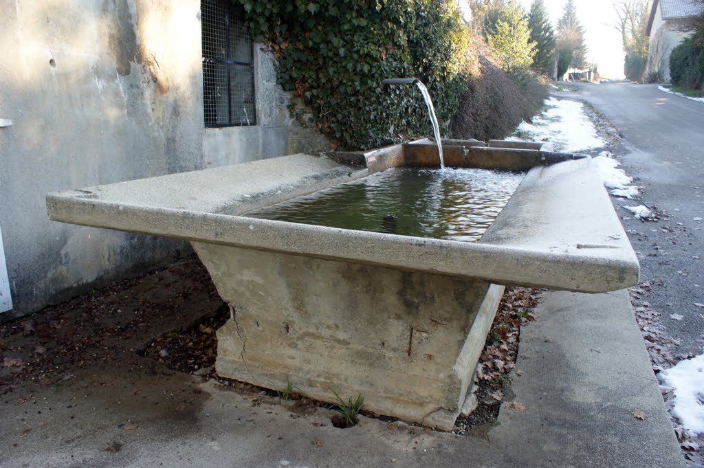 Lavoir au hameau Vigny commune de Jonzier-Epagny by philetisa