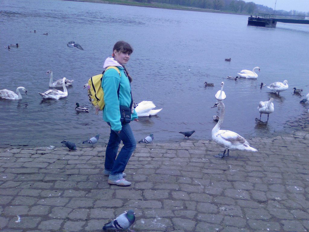 Diana with swans near Blaues wunder by ronaldo66