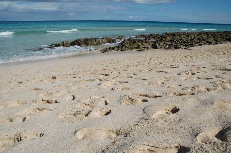 Corralejo by Flagbeach