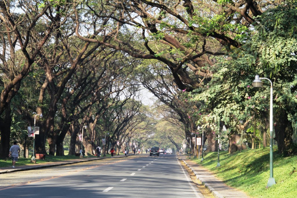 UP Diliman by Manolito O. Mesina