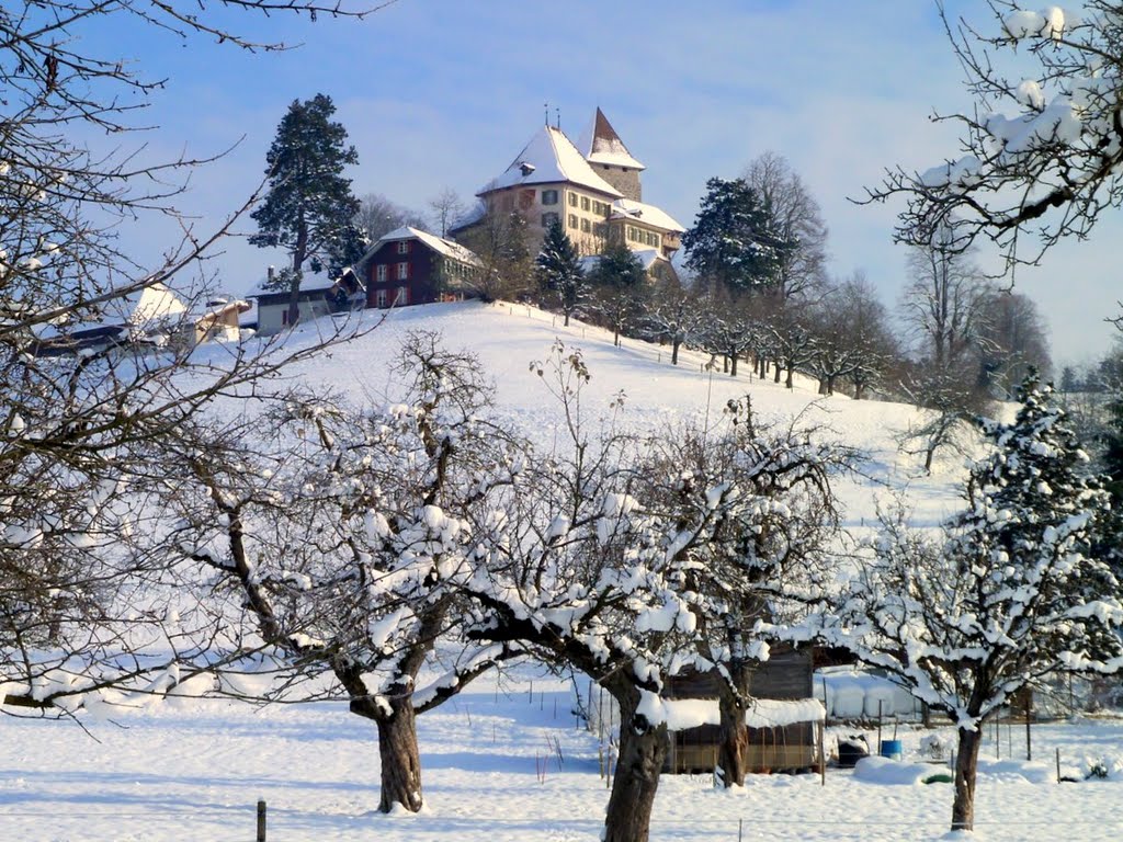 Mb - 03.12.10 - Schloss - Trachselwald - Castle - "Paisaje encantador, es mirarlo un rato y llenarse de emoción cómo lo dan los buenos recuerdos de la infancia. Una foto para ilustrar los más dulces sueños." (Ma.Laura) by ♫ Swissmay