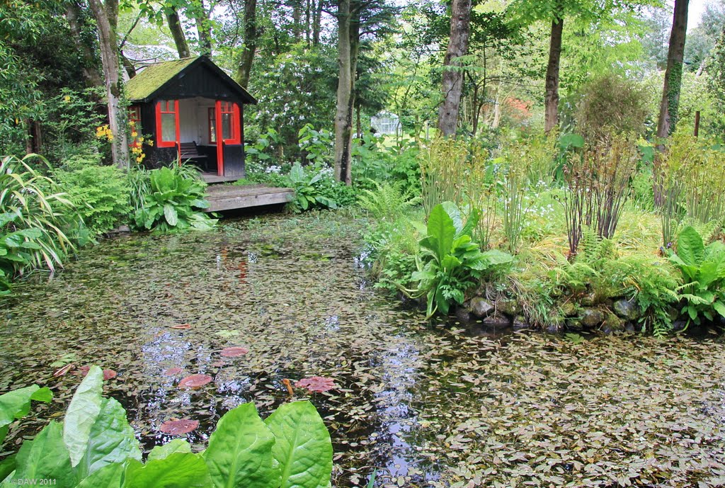 The lower pond, Linn Botanic Gardens, Cove by donaldw