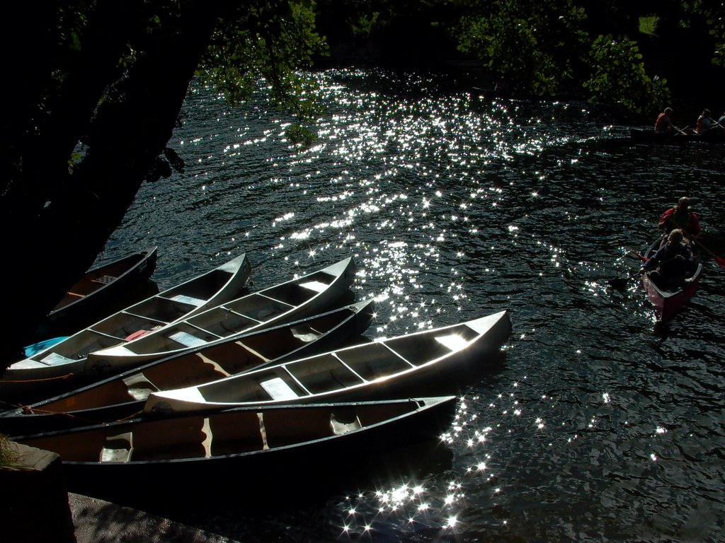 Symonds Yat - Canoeing by Panoramica 7963