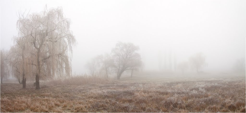 Утро последнего дня 2011 года. by Mihail Sokolov