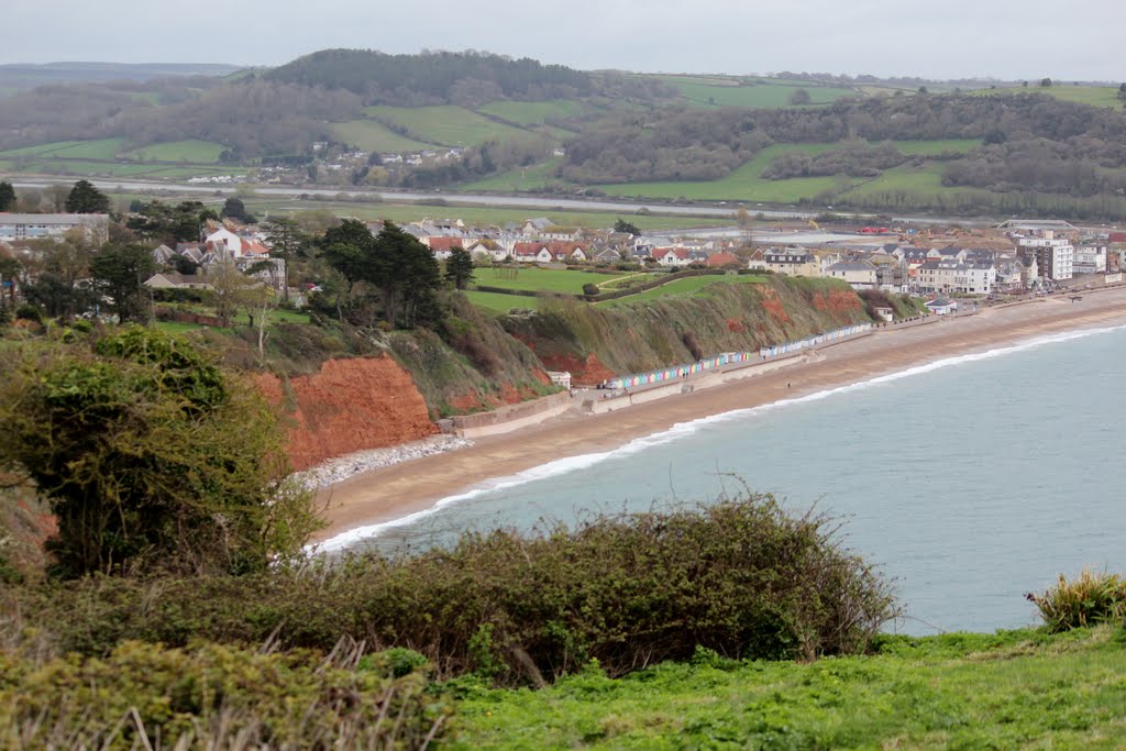 Seaton & Seaton Beach from Coastal Footpath from Beer, Devon, England by Wayne W Godbehere