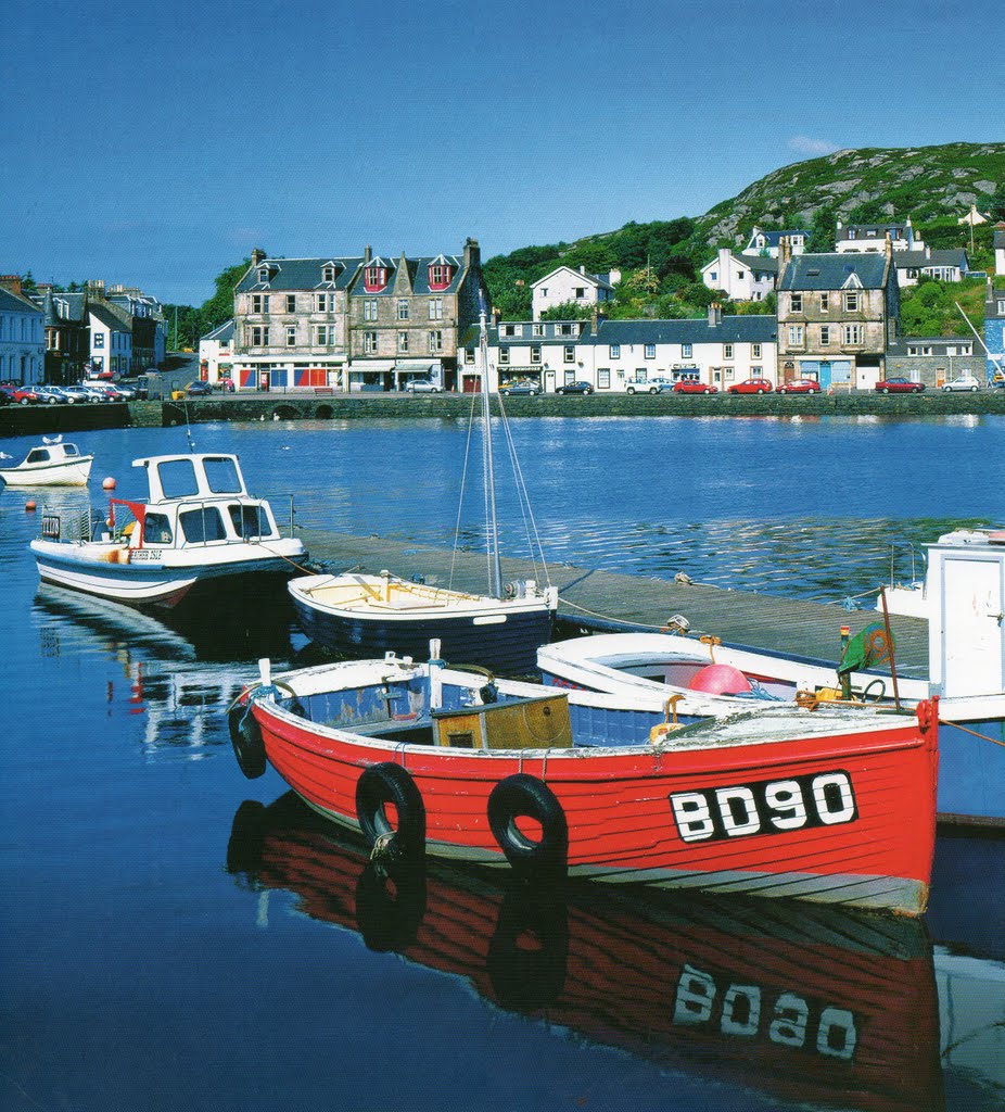 TARBERT by andrew waugh