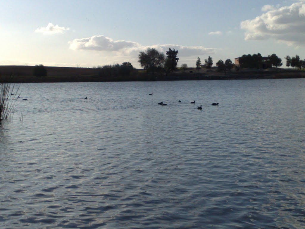 Lac de sidi mohamed ben ali by metehri.imad