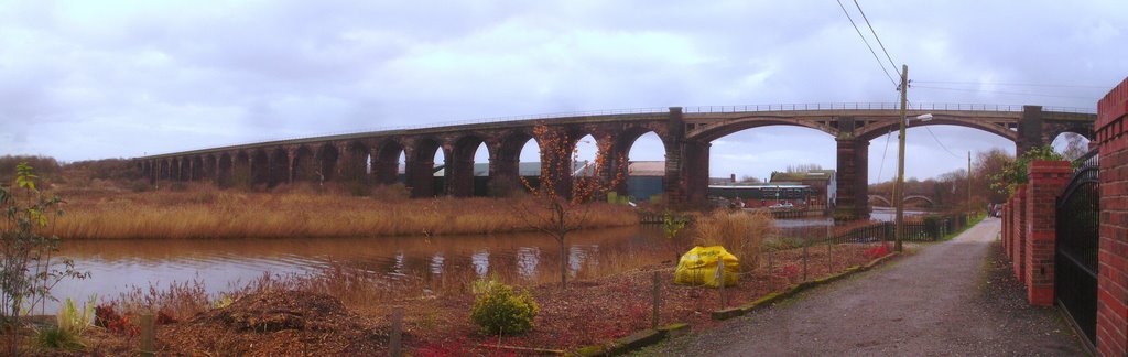 The viaduct at Frodsham by muba