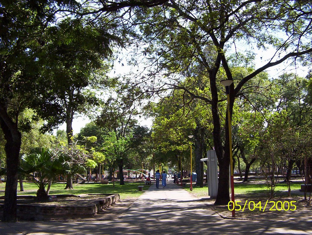 Plaza España by cecilia jacque