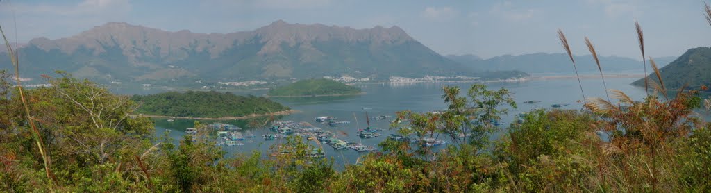 Plover Cove (from Yim Tin Tsai) by mos cwk