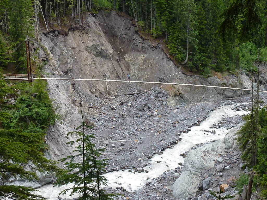 Suspension Bridge over Tahoma Creek by David Szmyd