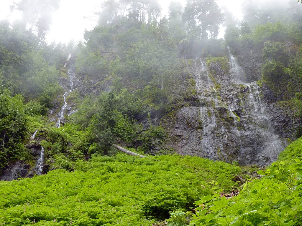 Waterfall, Wonderland Trail by David Szmyd