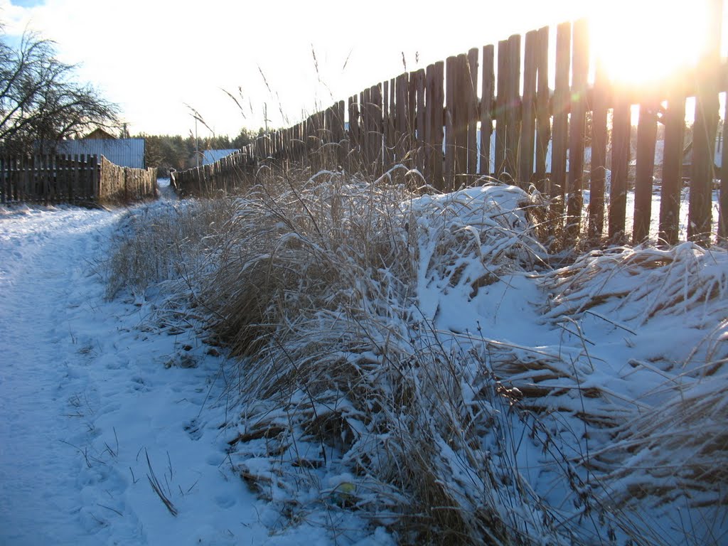 Footpath in Biahomĺ by Andrej Kuźniečyk