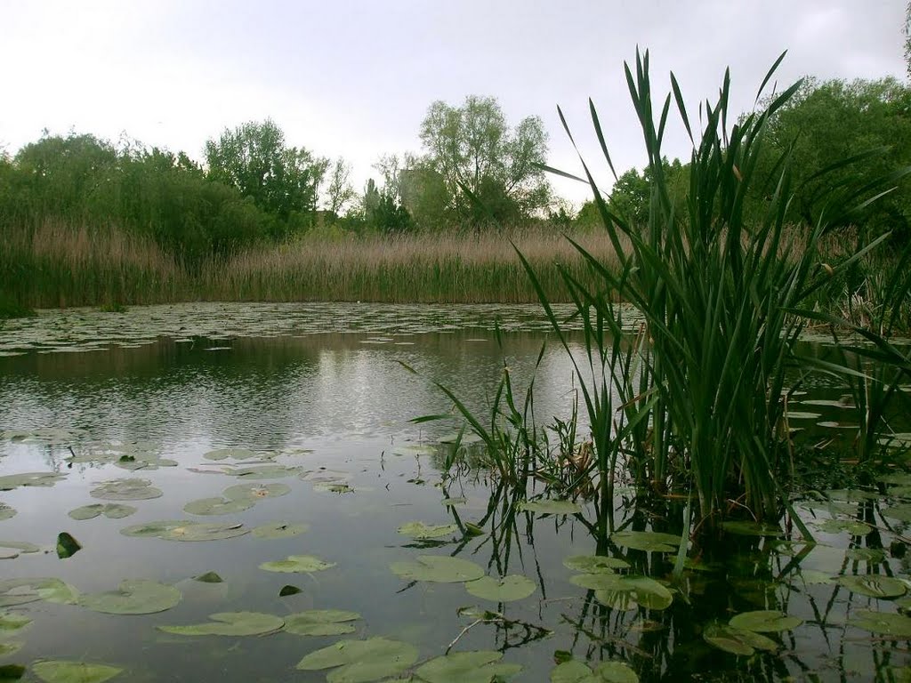 Lacul.. by Burciu Rafael