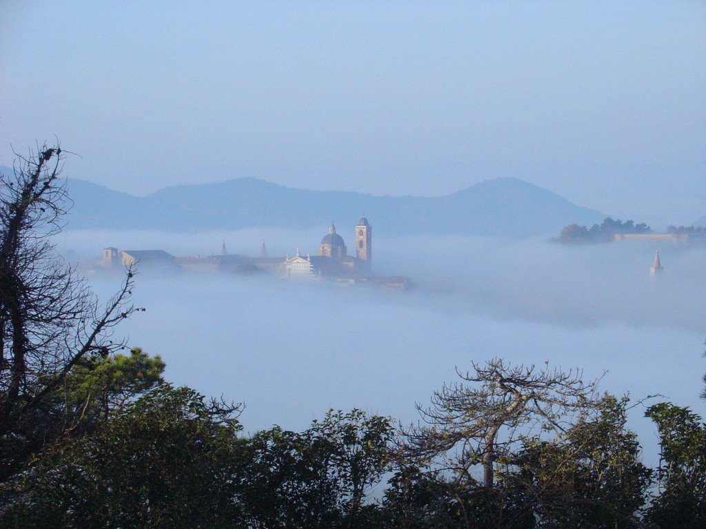 Urbino by gildeb