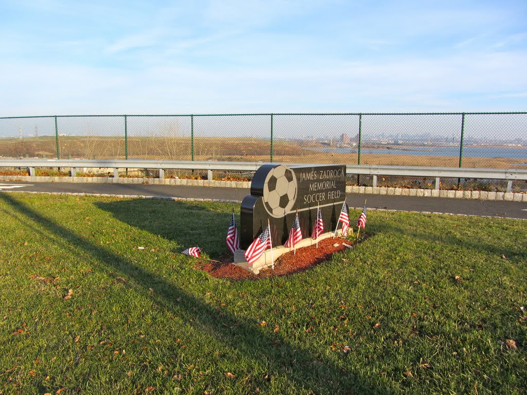 James Zadroga Memorial Soccer Field by Adam Elmquist