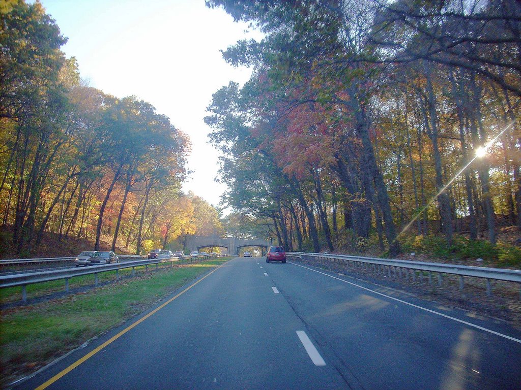 Meritt Parkway by MoMof4