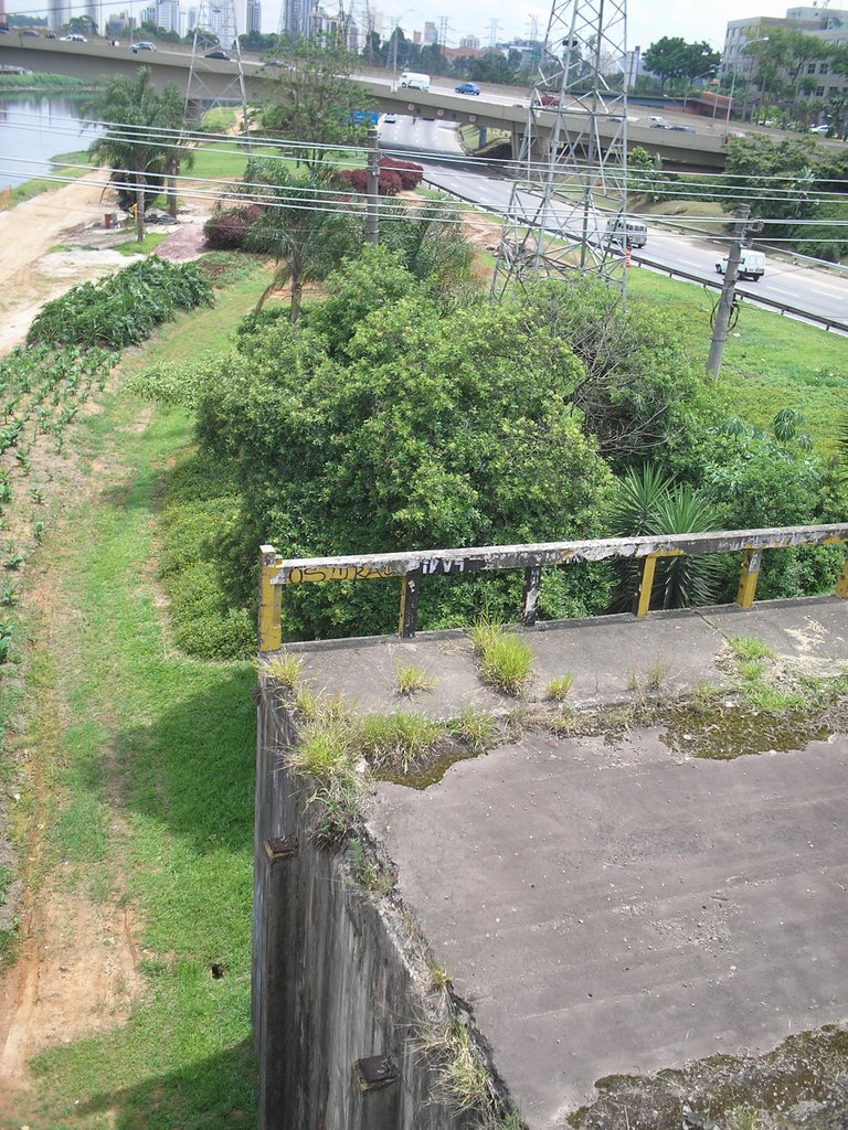 Ruinas da Ponte do Morumbi e Marginal Pinheiros (Sentido Cebolão) ao Fundo - Rio Pinheiros - São Paulo - Brasil by Marcelo Parise Petazoni (Brasil)