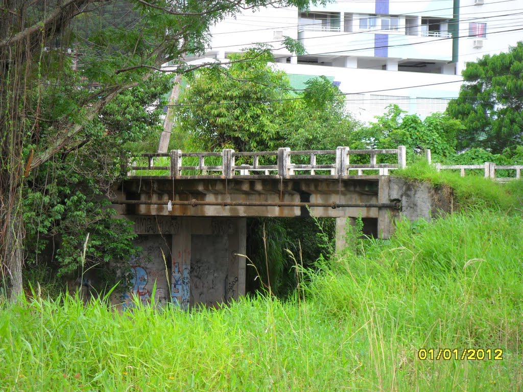 Ponte no Córrego Grande by Germanico