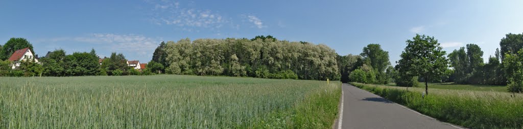 Parthenaue mit Gewinneberg im Frühling by Fotomeister