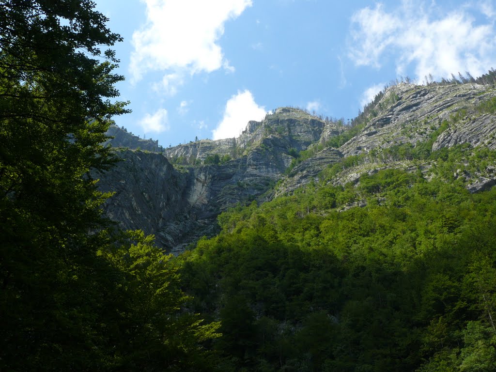 Bohinj by dr.horvath.tibor