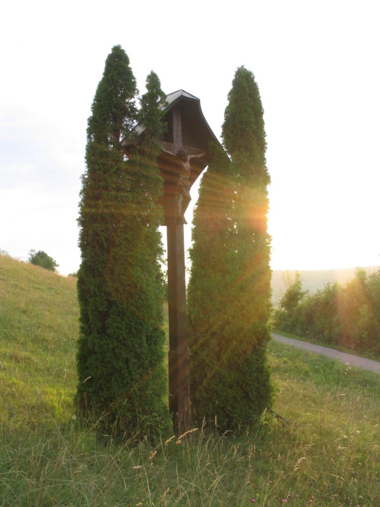 Near the Wurmlinger Kapelle by docryber