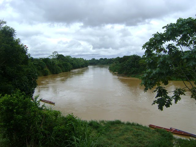 RIOS DO ACRE by JEZAFLU=ACRE=BRASIL