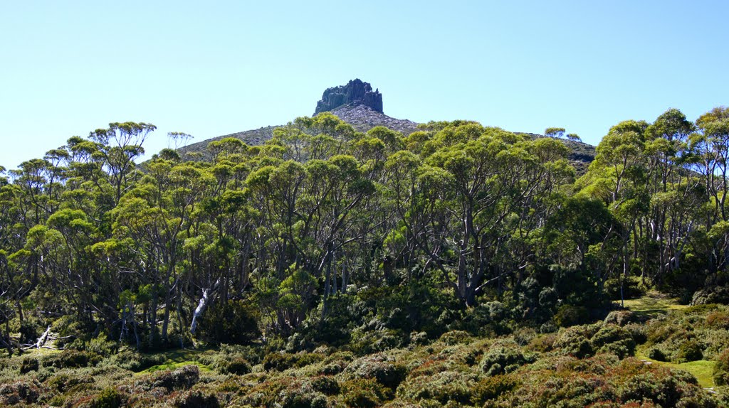 Mt Pelion East by David Jablonski