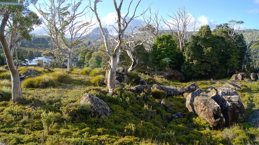 Overland Track by David Jablonski