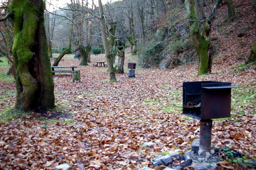 Area Recreativa de Vigonzalez, Belmonte de Miranda, Asturias by Antonio Alba