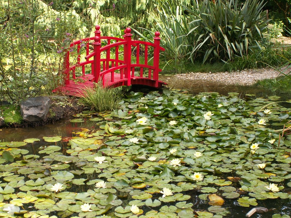 Parc floral de la Cour d'Aron by joel declerck