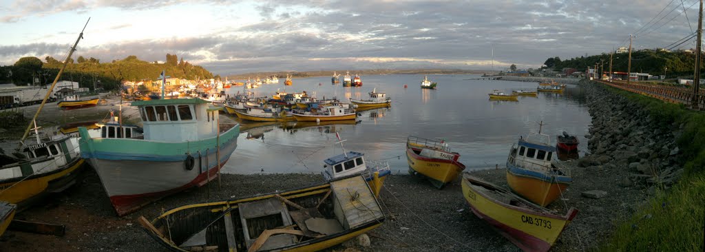 CALBUCO by MANUEL MARDONES