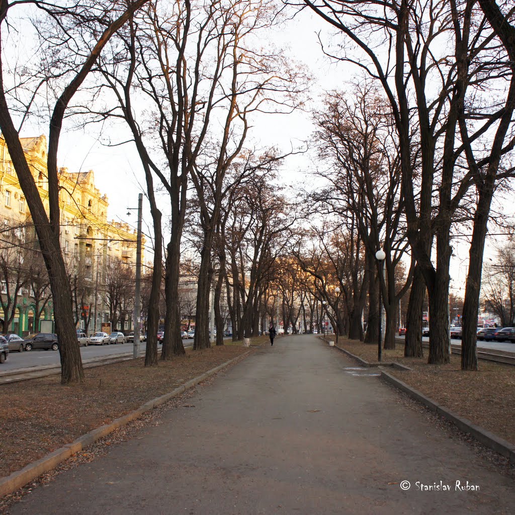 Дніпропетровськ, проспект Карла Маркса *Dnіpropetrovsk, Avenue Karl Marx by ruban stanislav