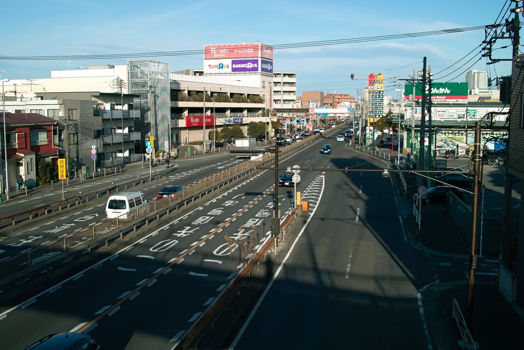 溝口第二歩道橋 by earlygirl