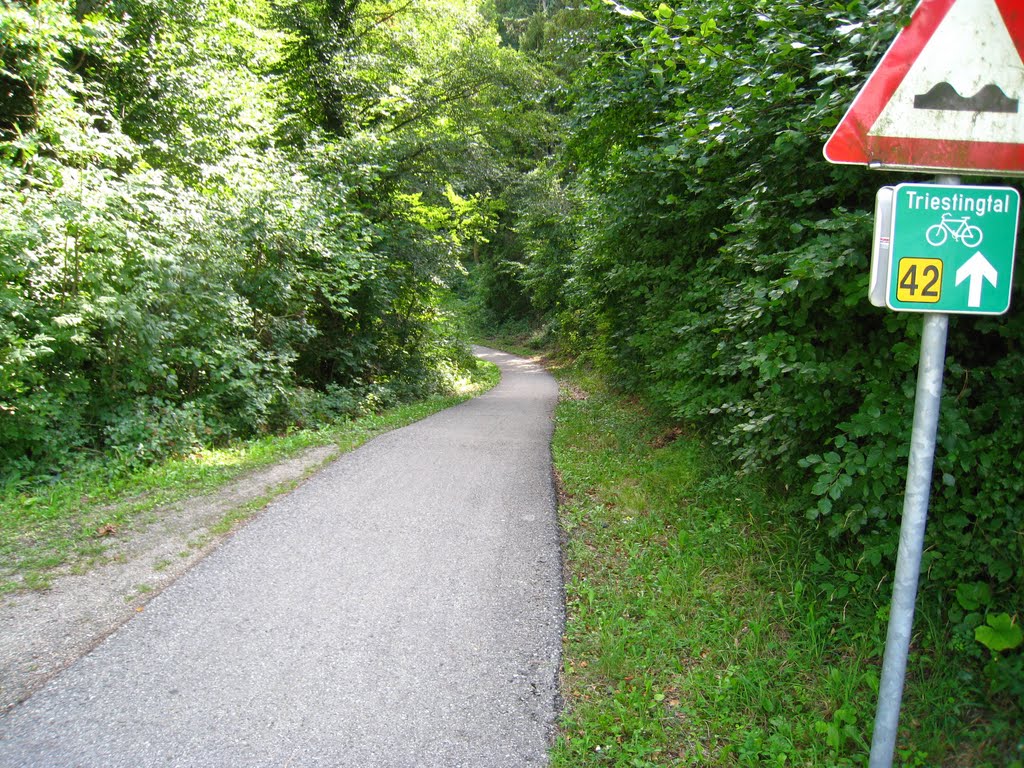 Triestingtalradweg by derRadler