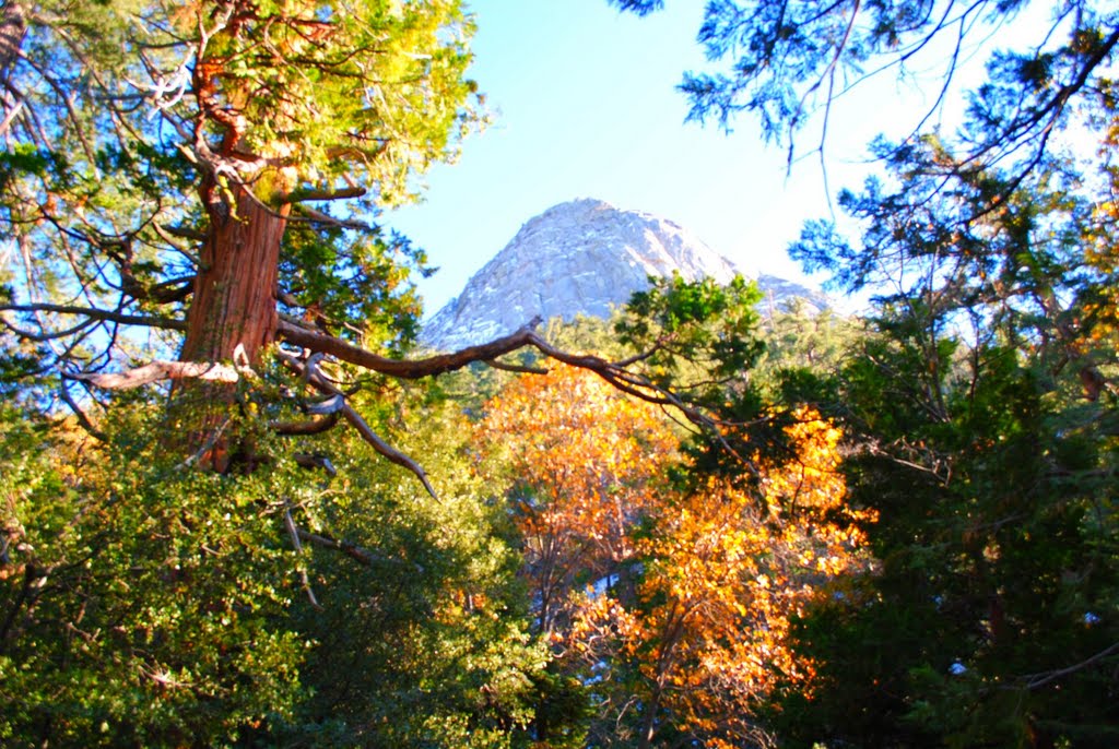 Tahquitz Rock by 🌴SoCal-Dude😎🌴