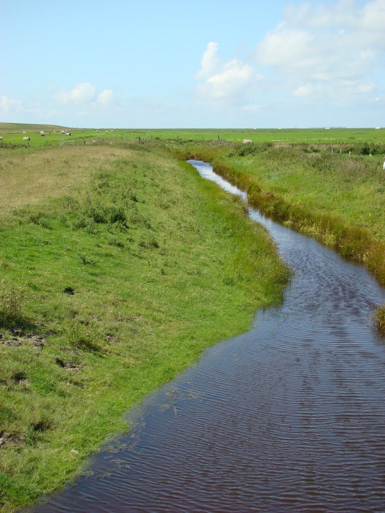 Ostfriesland August 2011 by DortmundWestfalica