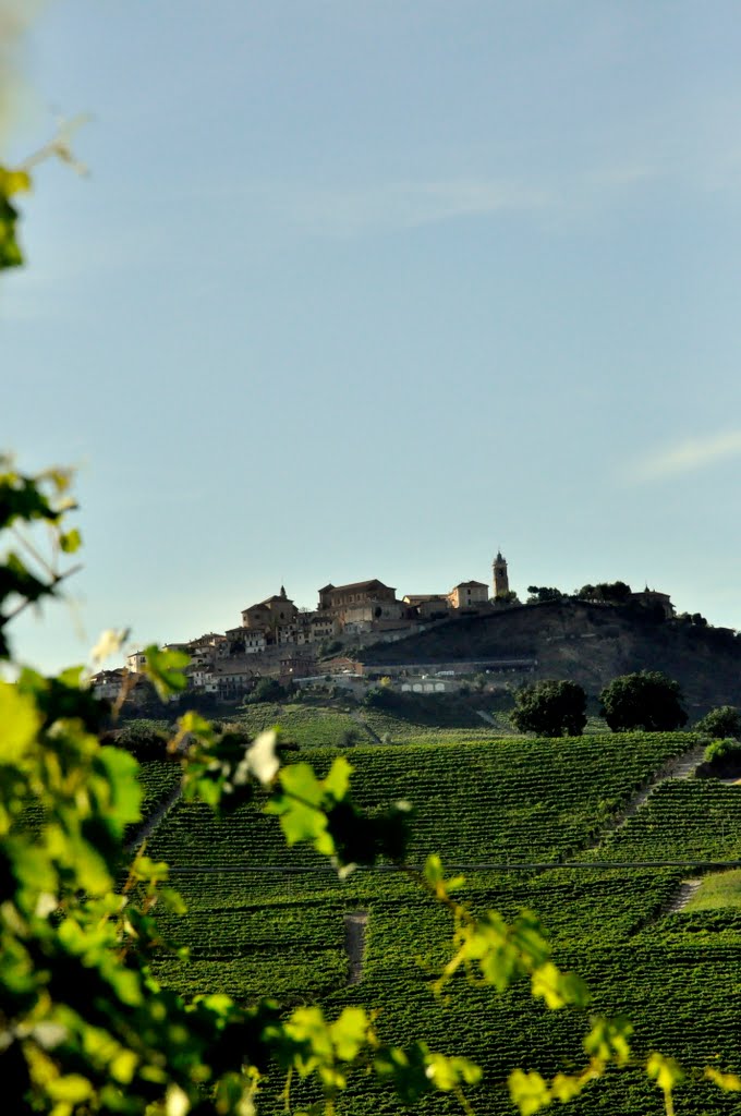 Langhe - vista su La Morra by Gian Luca - M